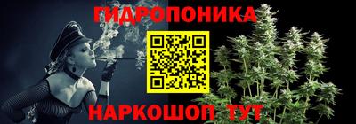 прущие крисы Тара