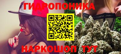 прущие крисы Тара