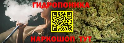 прущие крисы Тара