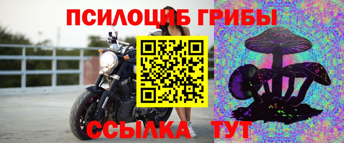 Малоярославец  Галлюциногенные грибы Psilocybe  Вход с VPN  Галлюциногенные грибы ЛСД 