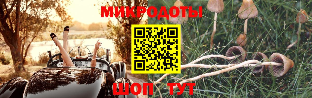 Галлюциногенные грибы Cubensis Малоярославец